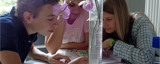 Unsere Kursangebote ermöglichen intensive Untersuchungen pflanzlicher Besonderheiten - hier der Pollinien von Orchideen Unsere Kursangebote ermöglichen intensive Untersuchungen pflanzlicher Besonderheiten - hier der Pollinien von Orchideen