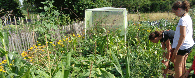 Im Forschergarten führen die Teilnehmenden eigene Experimente zum Wachstum von Pflanzen durch Im Forschergarten führen die Teilnehmenden eigene Experimente zum Wachstum von Pflanzen durch