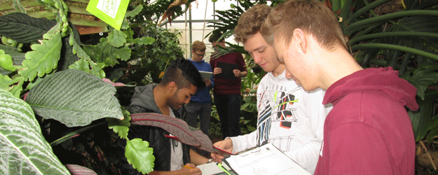 Beobachtung von Anpassungen im Pflanzenreich in den Gewächshäusern Beobachtung von Anpassungen im Pflanzenreich in den Gewächshäusern