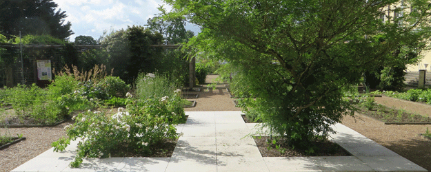 Die Biologische Abteilung umfasst mehrere Themengärten, darunter den Gart der Gesundheit