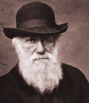 Portrait Darwin