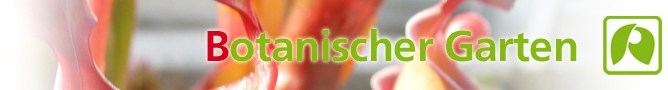 Botanischer Garten der Johannes Gutenberg-Universität Mainz