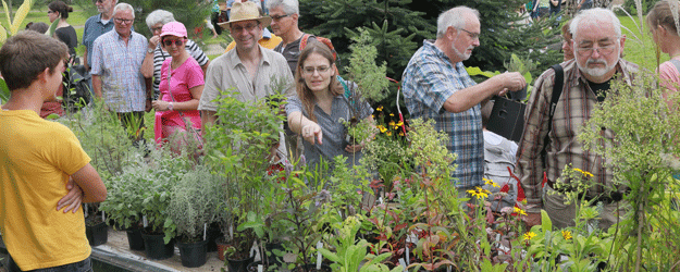 SOMMERFEST DES BOTANISCHEN GARTENS Botanischer Garten der Johannes