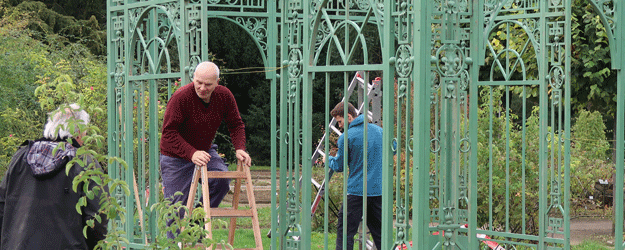 Das Foto zeigt Herrn Lauterbach und zwei seiner Helfer beim Aufbau des Rosenpavillons.