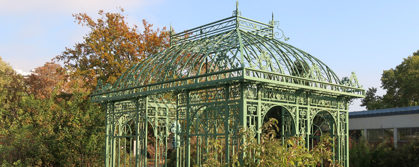 56+ Botanischer Garten Der Uni Mainz, Highlights of the event program