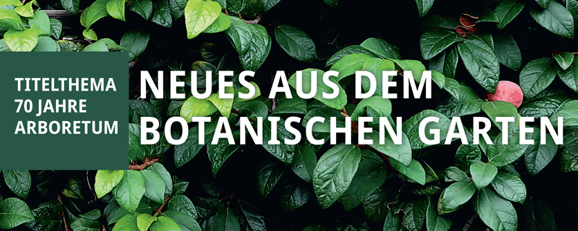 Botanischer Garten der Johannes GutenbergUniversität Mainz