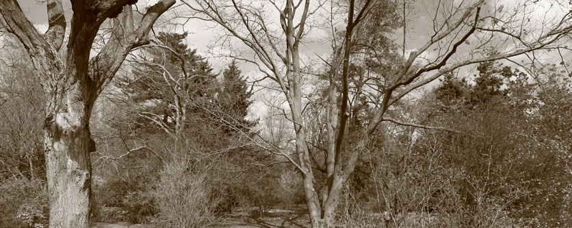 Botanischer Garten Der Johannes Gutenberg Universitat Mainz