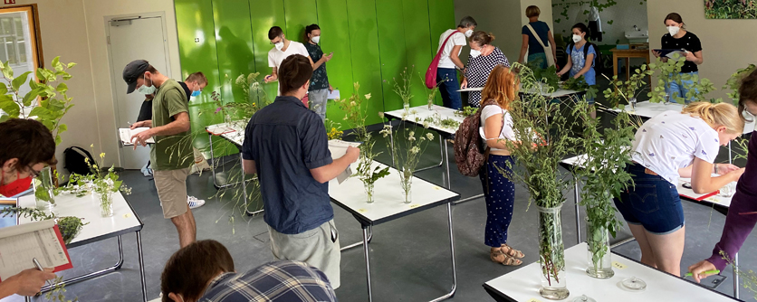 Botanischer Garten der Johannes GutenbergUniversität Mainz