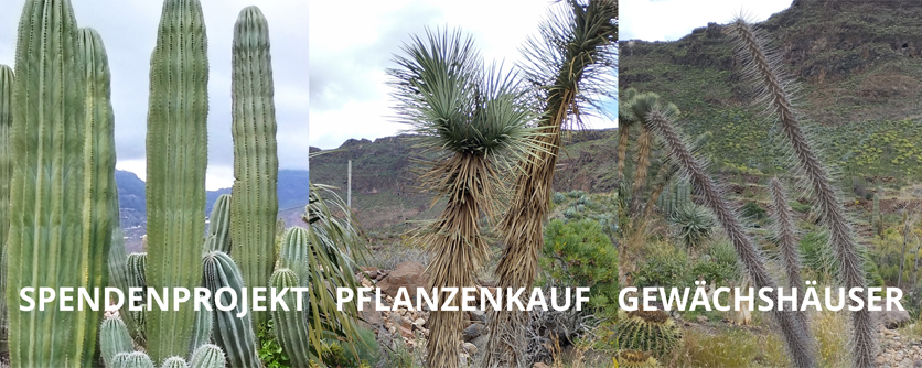 Freundeskreis des Botanischen Gartens startet Spendenprojekt