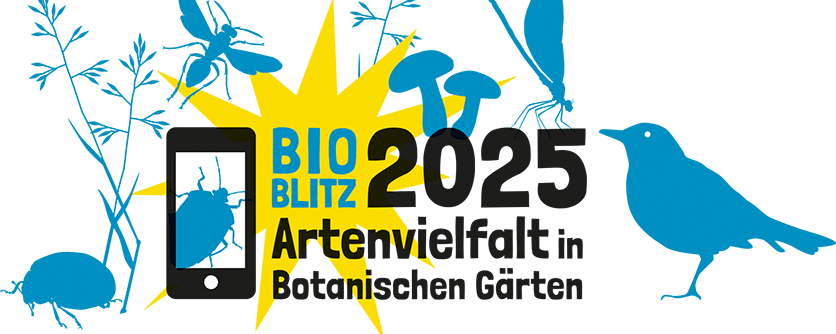 Entdecken Sie mit uns die Artenvielfalt im Botanischen Garten